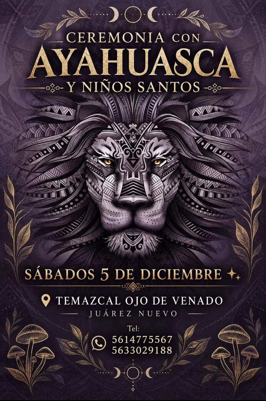 Cartel de Ceremonia con Ayahuasca y Niños Santos