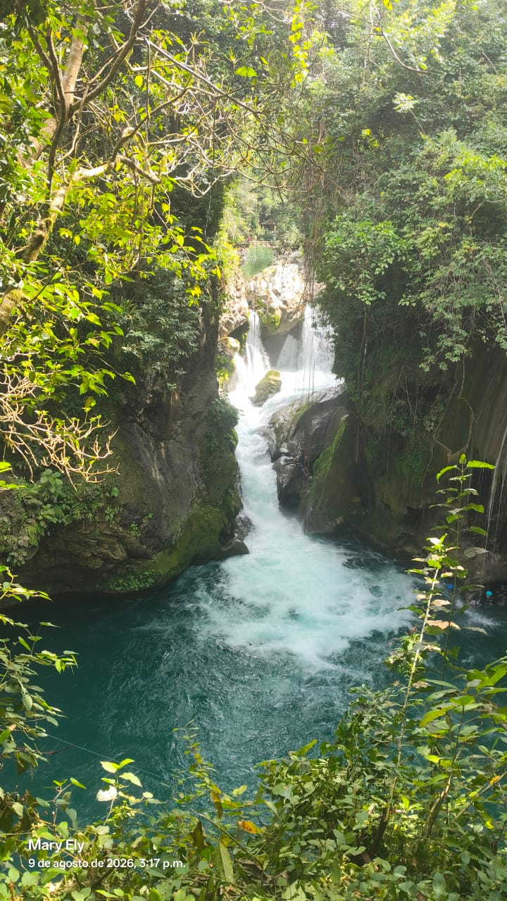 Agua y naturaleza