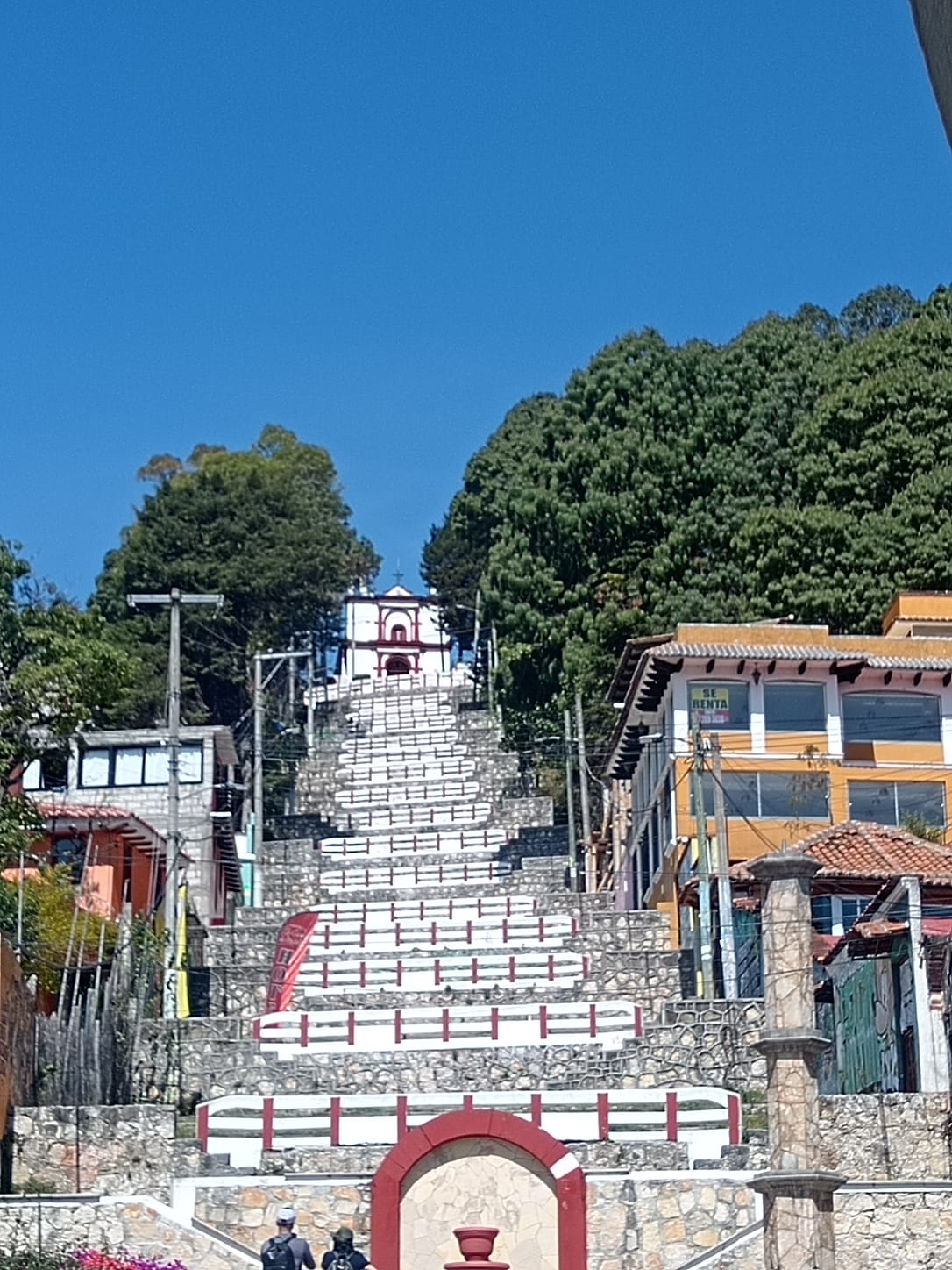 Escalinata entre calles y árboles