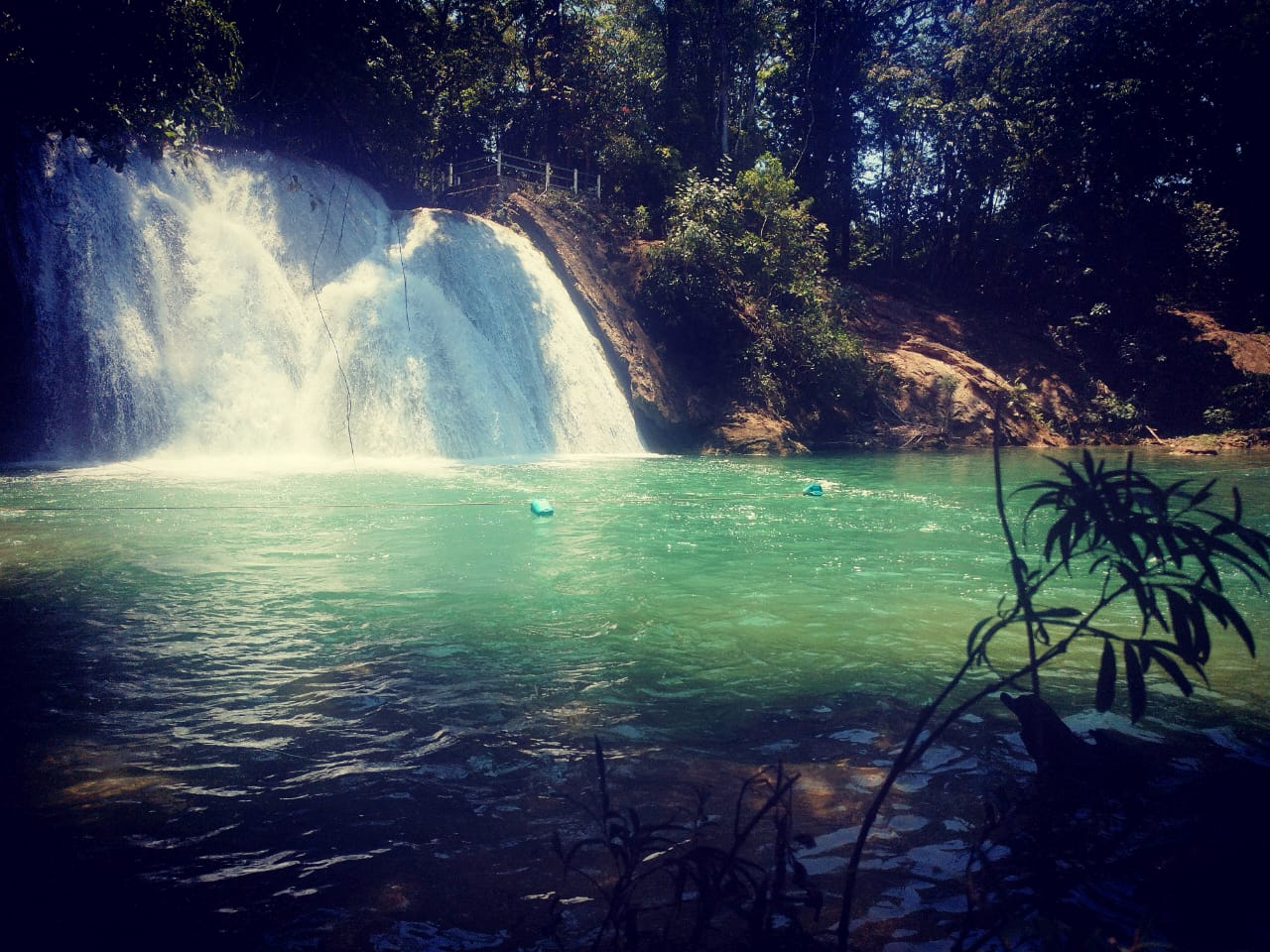 Cascada rodeada de bosque