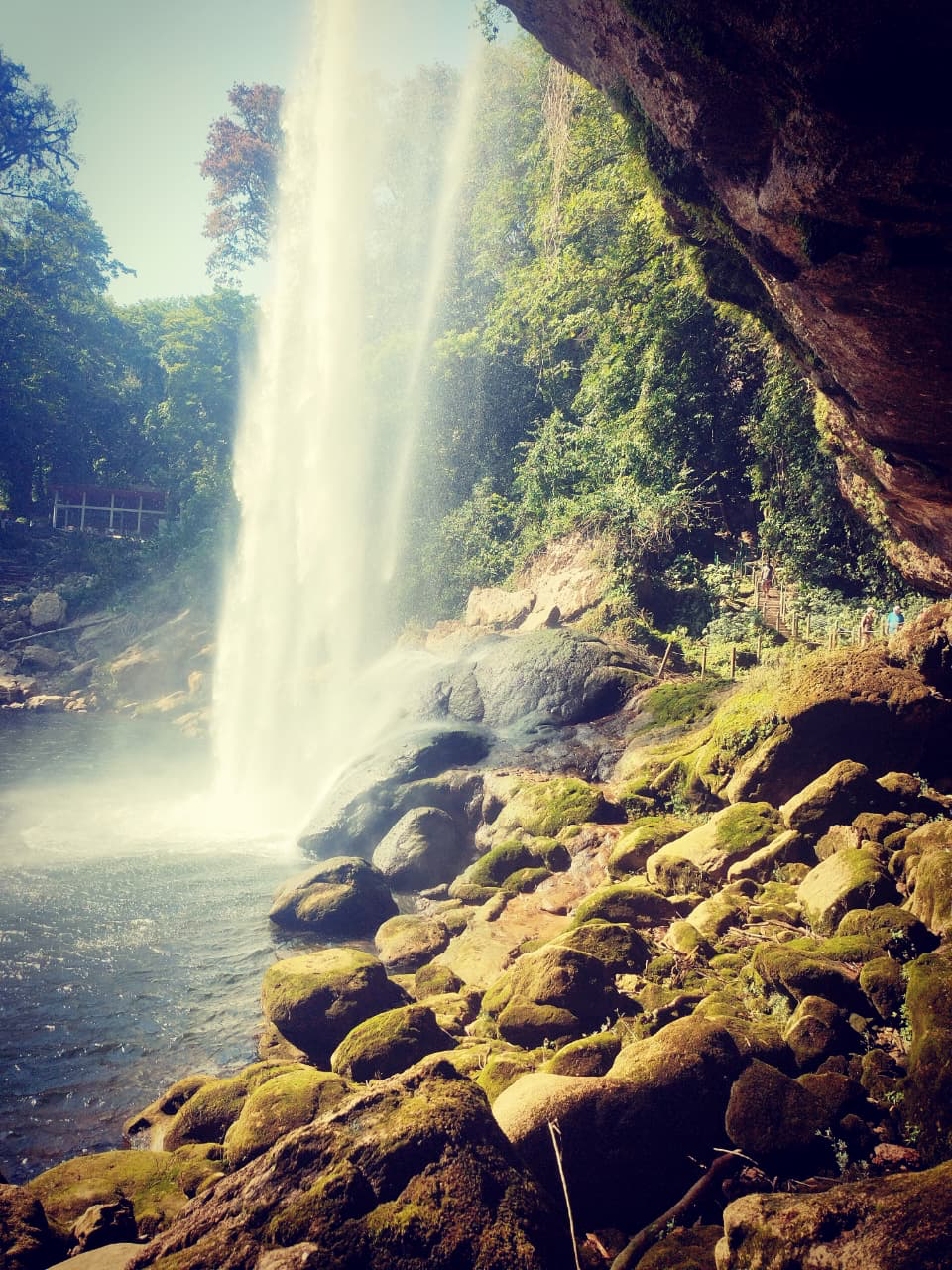 Una cascada entre rocas y árboles