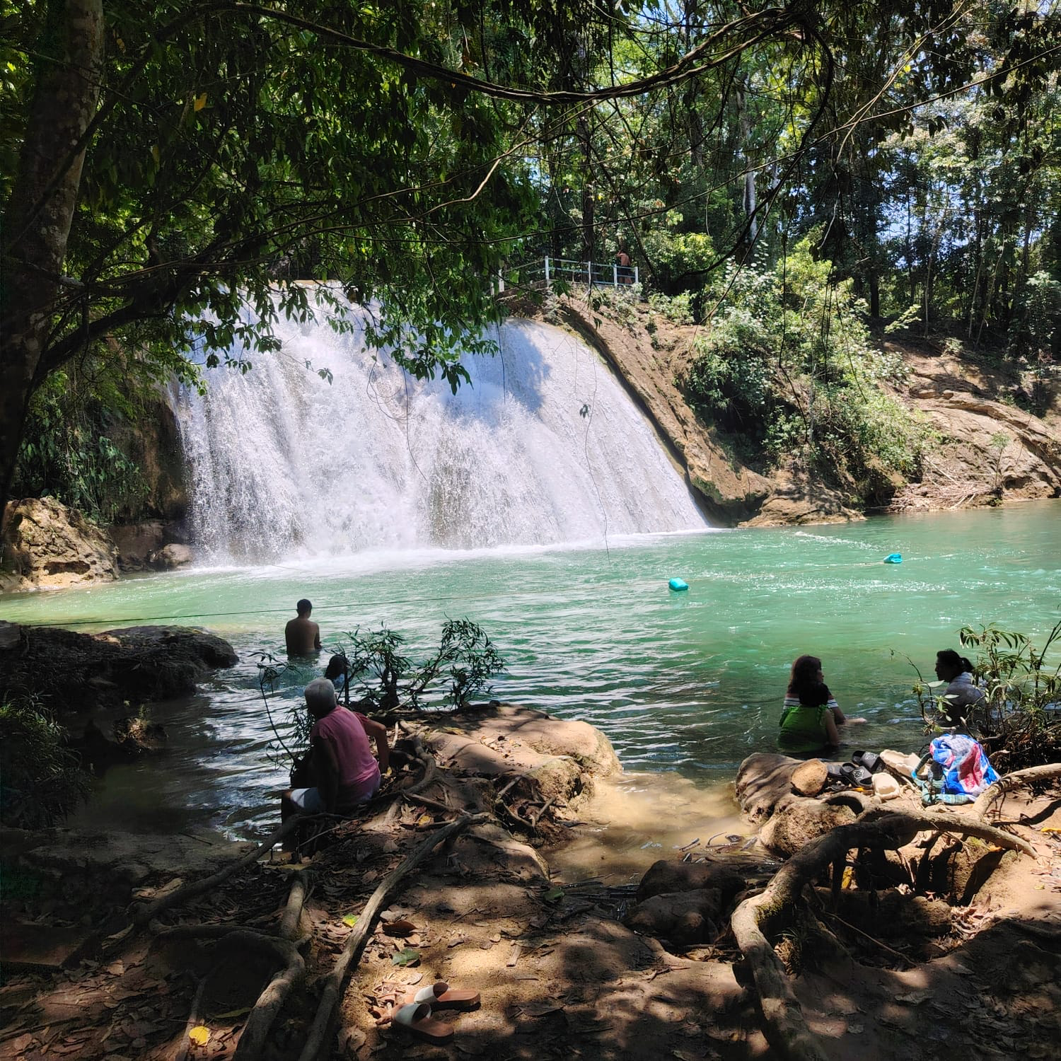 Momentos junto al agua en la naturaleza